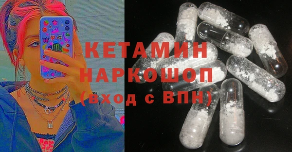 тгк Ельня
