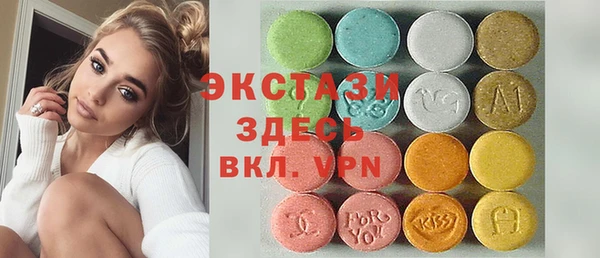 тгк Ельня