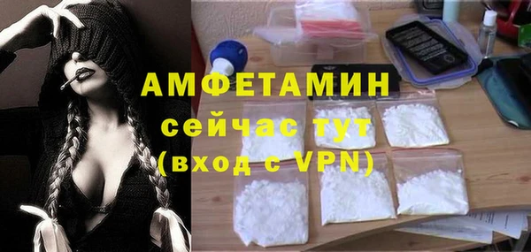 тгк Ельня