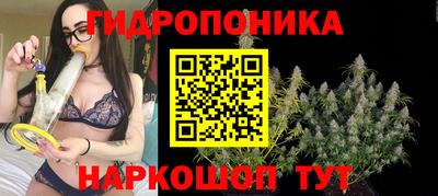 мдпв Донецк