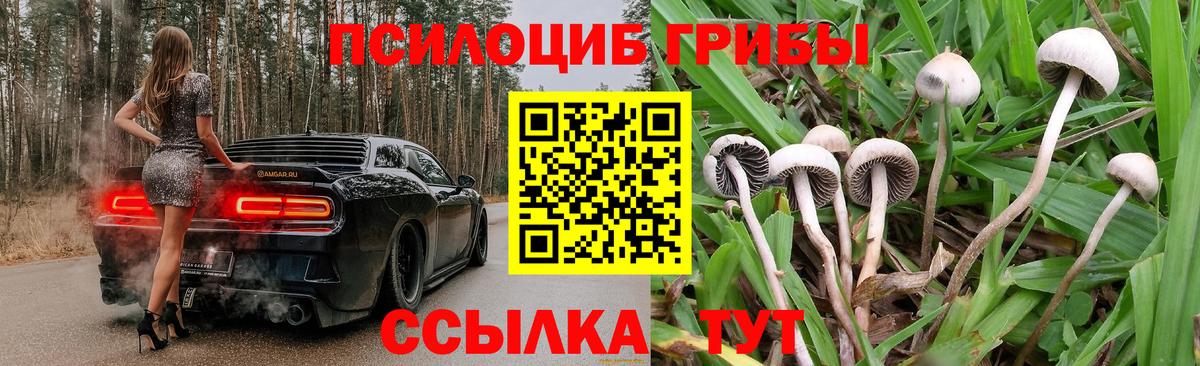 Галлюциногенные грибы мицелий  Донской 