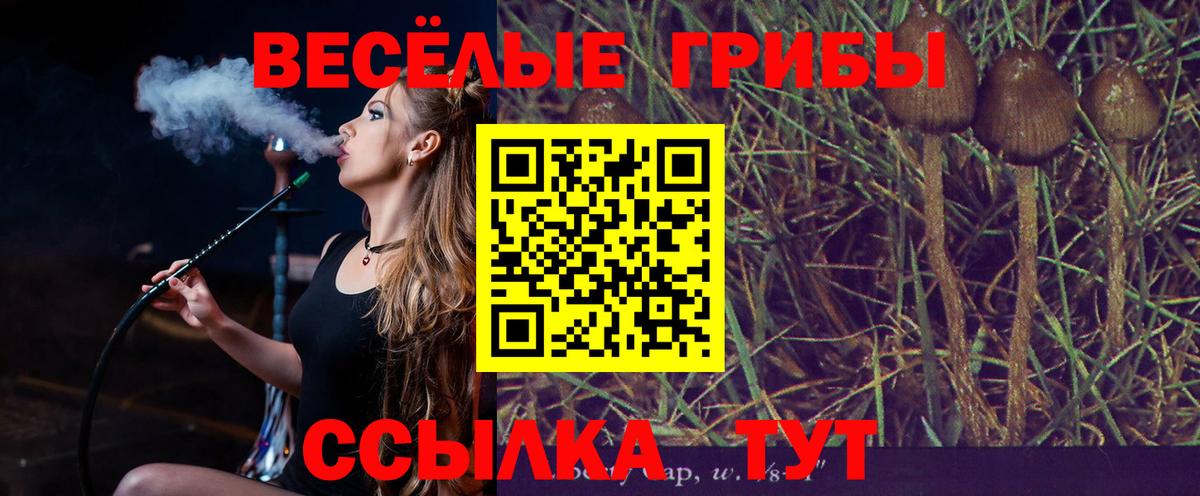 Галлюциногенные грибы прущие грибы Донской