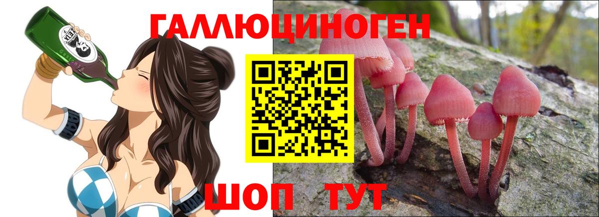 Псилоцибиновые грибы Magic Shrooms  Вход с VPN  Донской  купить закладку  Галлюциногенные грибы Psilocybine cubensis 