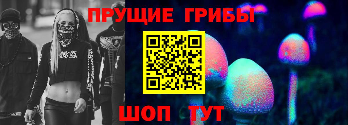 Галлюциногенные грибы Psilocybine cubensis Донской